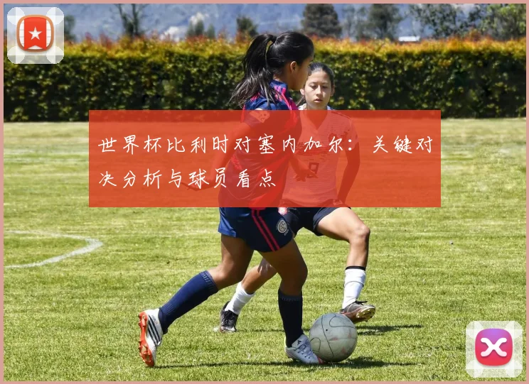 世界杯比利时对塞内加尔：关键对决分析与球员看点